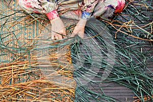 Pandanus weaving photo