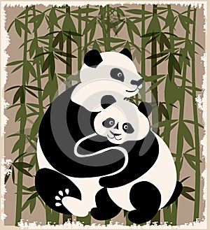 Pandas family in the bamboo forest