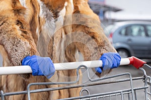 During a pandemic, you must wear latex gloves on your hands when shopping at any store.