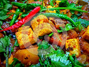 Paneer massala looking spicy photo