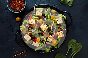 Paneer sizzler sizzling hot dish of Indian cottage cheese and salad