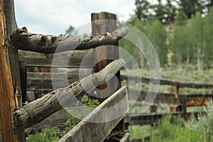 Panel of Natural Wooden Corral