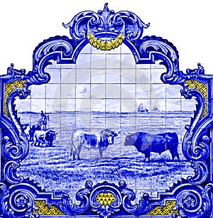 Panel tiles in Vila Franca de Xira