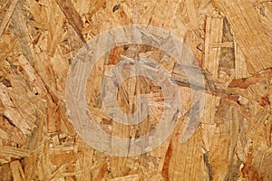 Panel of wood slivers