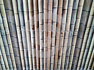 Paneling the bamboo sticks