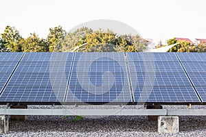 Panels of solar cells