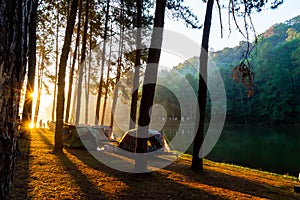 Pang oung lake and pine forest with sunrise in Mae Hong Son , Thailand