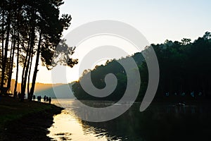 Pang oung lake and pine forest with sunrise in Mae Hong Son , Thailand