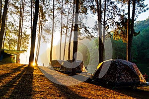 Pang oung lake and pine forest with sunrise in Mae Hong Son , Thailand