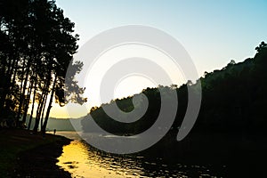 Pang oung lake and pine forest with sunrise in Mae Hong Son , Thailand