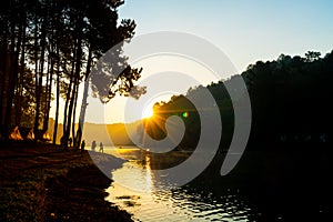 Pang oung lake and pine forest with sunrise in Mae Hong Son , Thailand