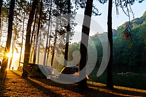 Pang oung lake and pine forest with sunrise in Mae Hong Son , Thailand