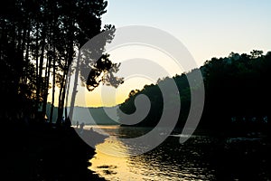 Pang oung lake and pine forest with sunrise in Mae Hong Son , Thailand