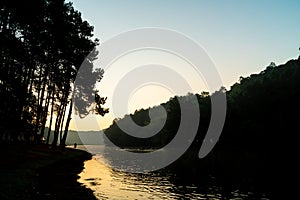 Pang oung lake and pine forest with sunrise in Mae Hong Son , Thailand