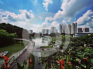 Pang Sua pond at Bukit Panjang photo