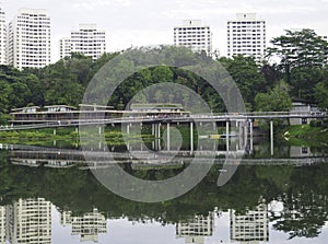 Pang Sua Pond at Bukit Panjang, Singapore