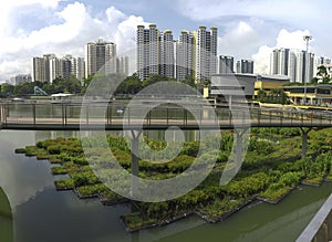 Pang Sua Pond in Bukit Panjang, Singapore photo