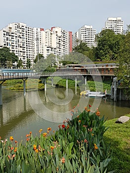 Pang Sua Pond in Bukit Panjang, Singapore