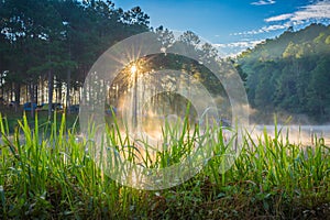 Pang Ung Forestry Plantations, Maehongson Province,Thailand