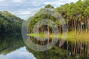Pang ung lake , pine forest park with reflection of pine in Maehongson,Thailand