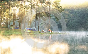 Pang Ung which officially called The Royal Forest Project at Pang Tong 2 at Mae Hong Son