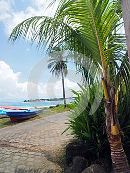 Panga fishing speed boats roadside with capital Brig Bay Big Cor