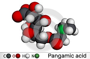 Pangamic acid, pangamate molecule. It is vitamin B15, ester derived from gluconic acid and dimethylglycine. Molecular model. 3D photo