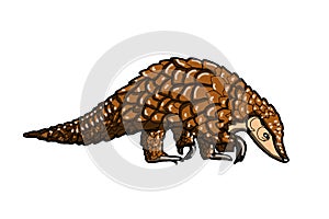 Pangolin animal illustration cartoon isolated