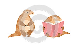 Pangolin or Scaly Anteater with Clawed Paw Sitting and Reading Book Vector Set