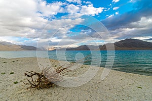 Pangong Lake in Leh Ladakh, Jammu and Kashmir, India