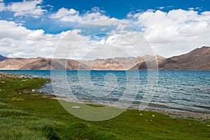 Pangong Lake view from Between Maan and Spangmik in Ladakh, Jammu and Kashmir, India. The Lake is an