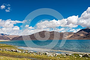 Pangong Lake view from Between Spangmik and Maan in Ladakh, Jammu and Kashmir, India.