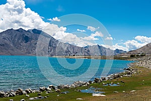 Pangong Lake view from Between Spangmik and Maan in Ladakh, Jammu and Kashmir, India.
