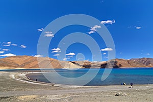 Pangong tso (Lake), Leh, Ladakh, Jammu and Kashmir, India