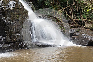 Pangsida national park