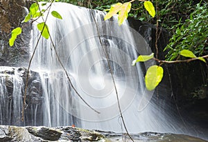 Pangsida national park