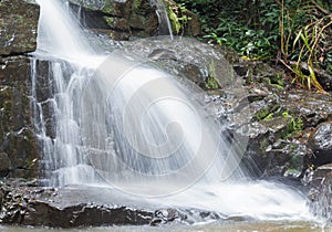 Pangsida national park