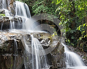 Pangsida national park