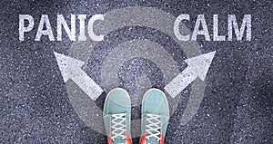Panic and calm as different choices in life - pictured as words Panic, calm on a road to symbolize making decision and picking
