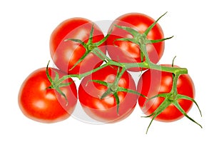 Panicle tomatoes, fresh, ripe, raw fruits from above, over white
