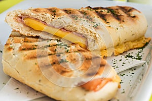 Panini