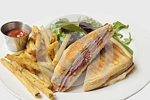 Panini with Ham French Fries and Salad