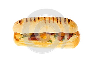 Panini isolated against white