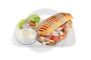 Panini on a plate photo