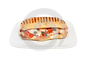 Panini on a plate