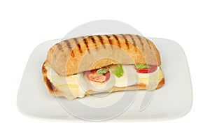 Panini on a plate