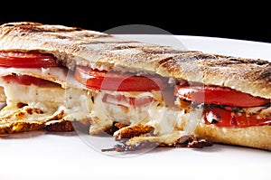 Panini sandwich