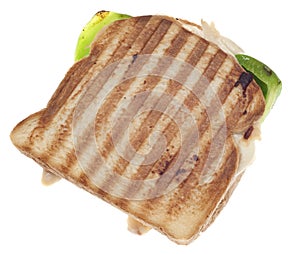 Panini Sandwich