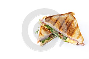 Panini sandwich with ham, cheese, tomato and arugula isolated on white background