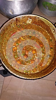 Panir Curry in indian veg curry photo